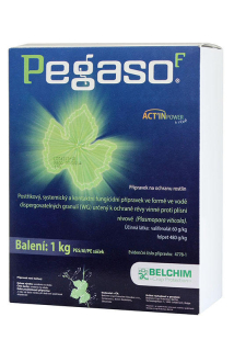 Pegaso F - 1 kg